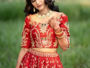 Stunning Red Bridal Lehenga (Hand Zardozi & Hand Embroidery)